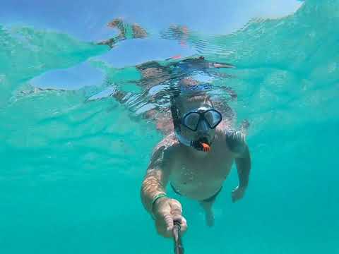 Bellevue Club Mallorca Alcudia Youtube