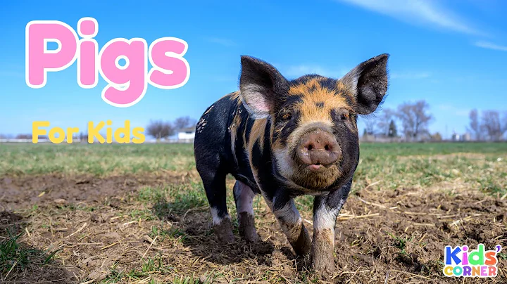 Pigs For Kids | Facts About Pigs | Learn About Pigs | Animals For Kids
