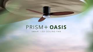 The World's Smartest Ceiling Fan | PRISM+ Oasis
