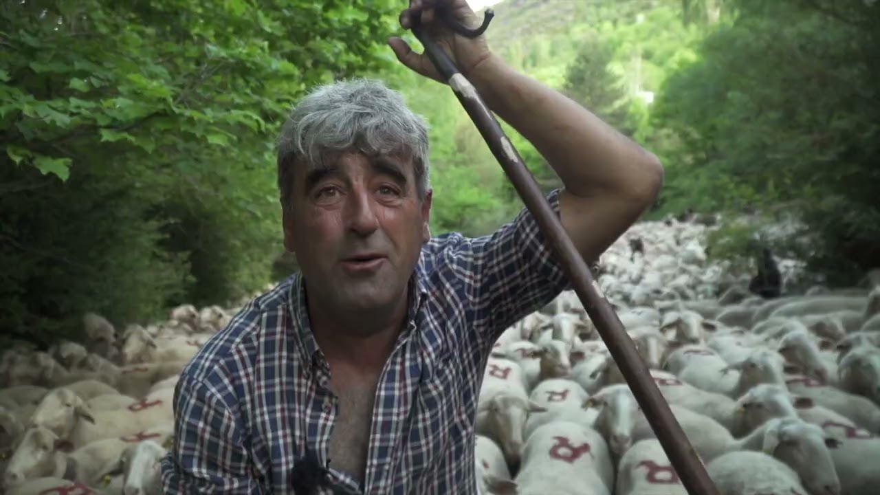 Trashumancia: Daniel Rufat Lacambra