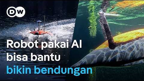 Robot maritim Evologics: Bisa bangun bendungan, turbin air hingga cari orang hilang | DW Business