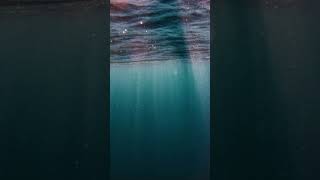 The Sound of Stillness ✨🌌#MeditativeState #Mindfulness #PeacefulMusic #HealingVibrations #Shorts