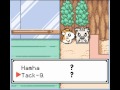 Hamtaro Ham Hams Unite GBC Emulator