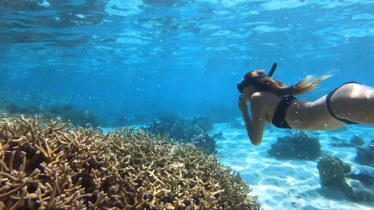 GO PRO Amazing SNORKELING in Tahiti French Polynesia YouTube