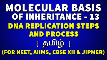 DNA Replication in Tamil - Molecular Basis of Inheritance in Tamil (13) - Rajus Biology