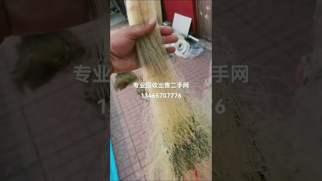 Ловля аквариумных рыбок в реке 