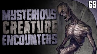 69 DISTURBING & Mysterious Creature Sightings (Compilation)