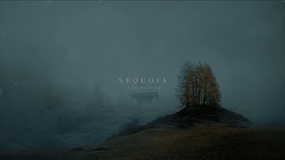 Luke Taylor - Sequoia
