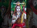 bholenath #sad #bholenathstatus #haridwardairies #haridwar #badrinath