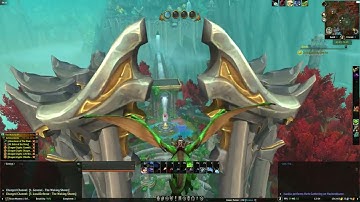 World of Warcraft Dragonflight Setting Your Very Own Net