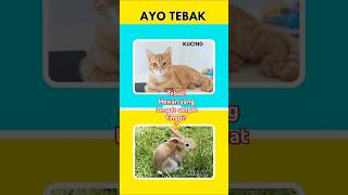hewan apa yang bisa melompat seperti ini? Kuis Tebak Gambar #shorts