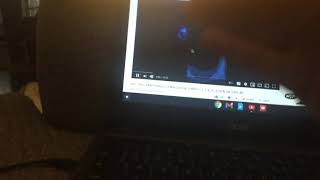 Information Shark puppet gets jumpscared Update