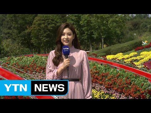 [날씨] 쾌청한 하늘, 낮 동안 선선...치즈 향 가득한 임실 / YTN