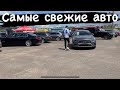 АВТОРЫНОК МАЛИНОВКА Свеже авто из Европы и США БУ Беларусь