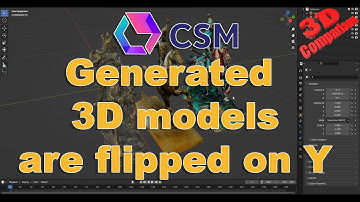 CSM AI 3D models are flipped on Y