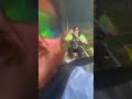 Free canoe experience at Old Woman Creek in Ohio