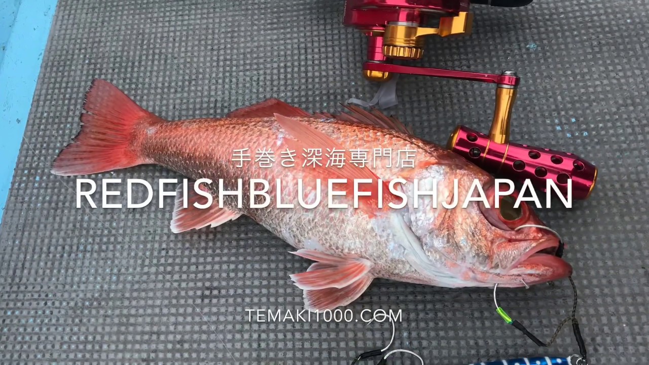 手巻き深海de使えそう！ロッド：XESTA 『PPJ』 – 【手巻き深海 専門店】