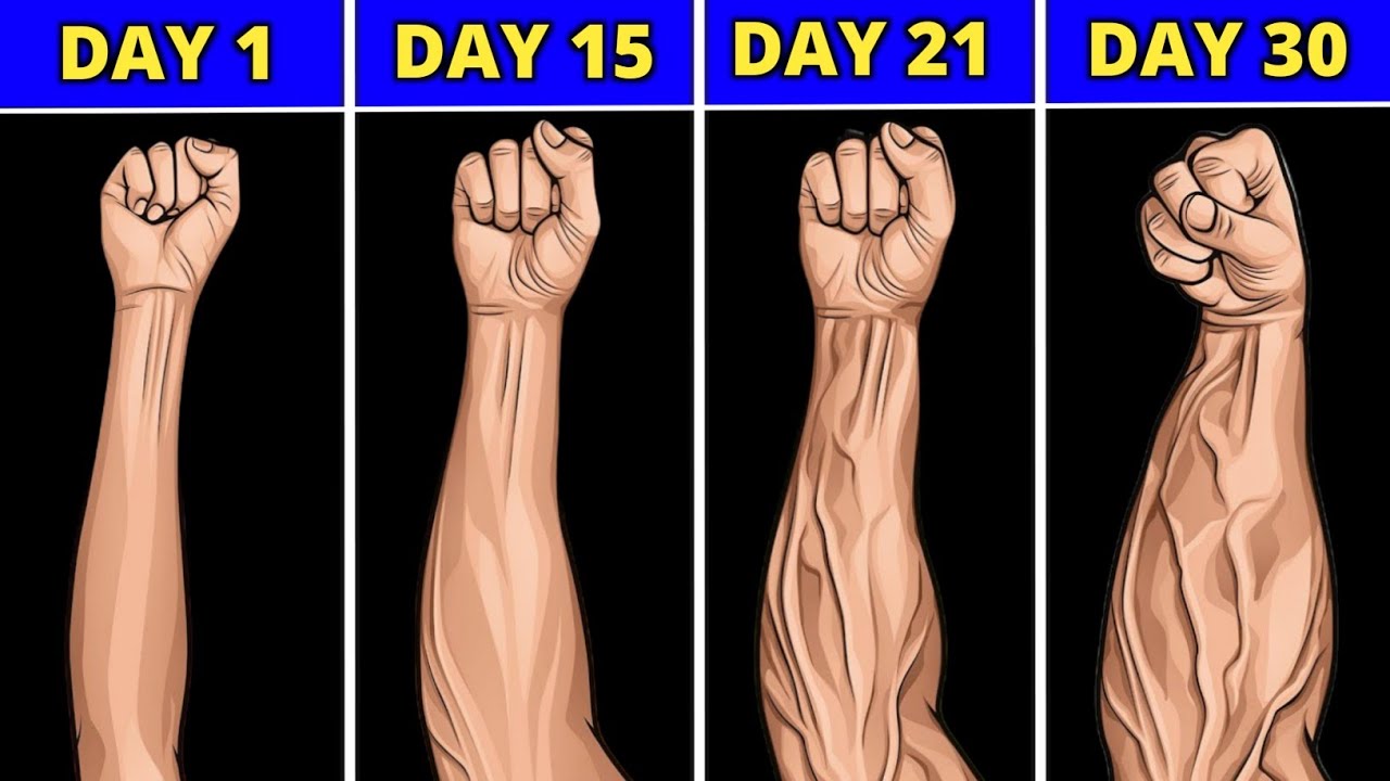 6 BEST Exercises for Bigger Forearms - YouTube