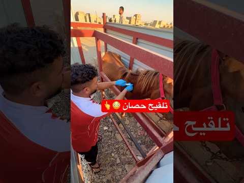 عياده بيطريه لقاح جنوب الموصل المحتوى الرائج
