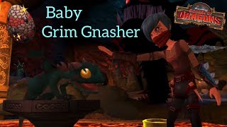 Hatching A Grim Gnasher School Of Dragons