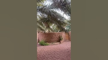 تلاوه موثره عبدالله الخياط