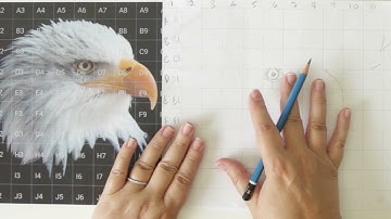How to Draw using a Grid Method with How to Enlarge or Reduce a Drawing Size to Fit Your Canvas