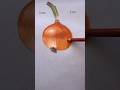 🧅Onion realistic drawing / #shortvideo #easydrawing #drawing #art #trendingshorts #ytshorts