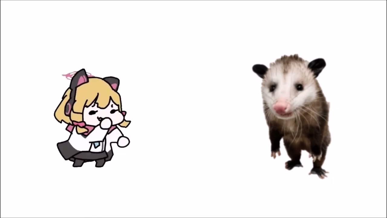 Oh My Gotto It s Opossum YouTube oh-my-gotto-it-s-opossum-youtube