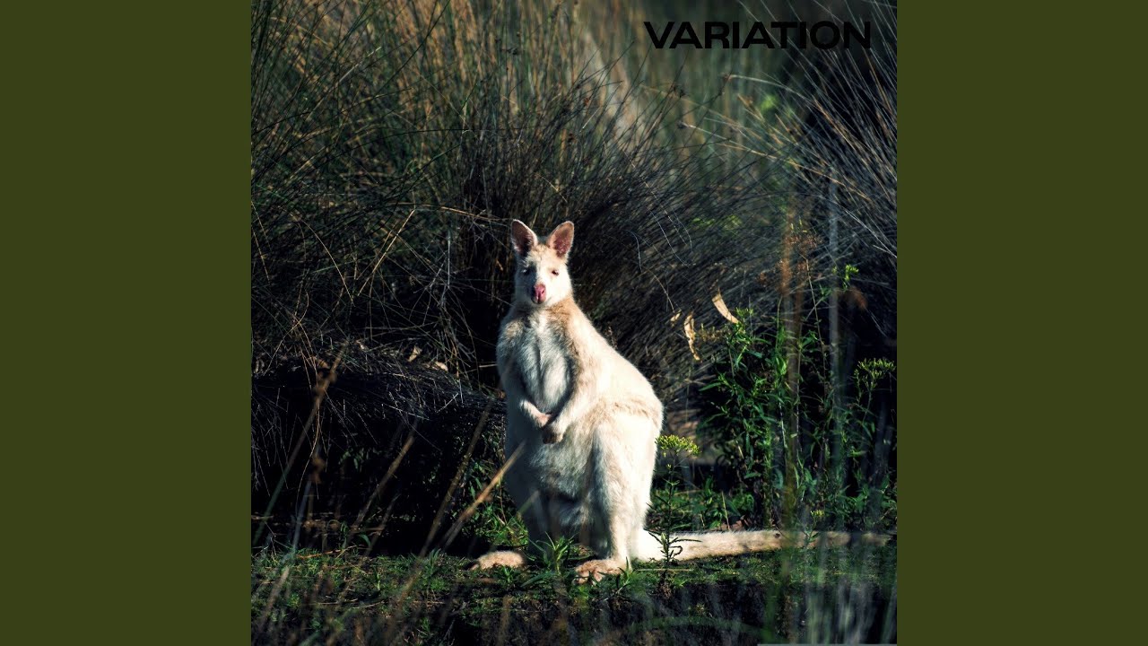 Ver Wake Up en YouTube Ver Wake Up en YouTube