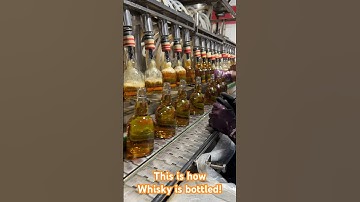 Whisky Bottling - one of the largest selling Indian whisky getting bottled at the distillery!