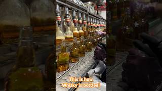 Whisky Bottling - One Of The Largest Selling Indian Whisky Getting Bottled At The Distillery