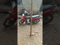 aktivitas....kasih pakan ayam