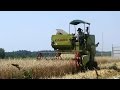 Мини Комбайн для Уборки Пшеницы | Small Harvester Wheat Home