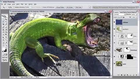 Morphing Creatures using photoshop Part 1