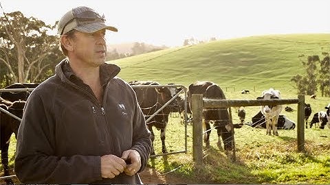 Latrobe Valley Microgrid - Feasibility Study