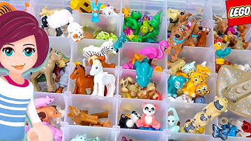 How I sort my LEGO animals | DIY