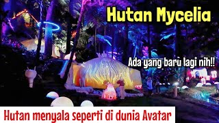 HUTAN MYCELIA CIKOLE - BERASA DI NEGERI DONGENG - WISATA TERBARU LEMBANG 2025