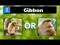 Animals That Start With G - Quiz | Guess The Animal