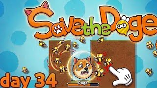 Save the dog 🐕 gameplay 🎯 day 34 | complete walkthrough ‼️