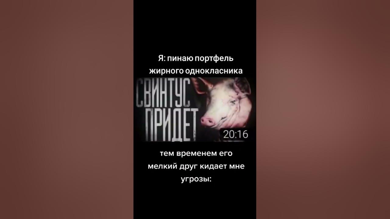 СВИНТУС ПРИДЁТ!!!!!!! - YouTube