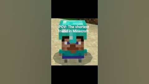 Shortest friend #memes #minecraft #steve