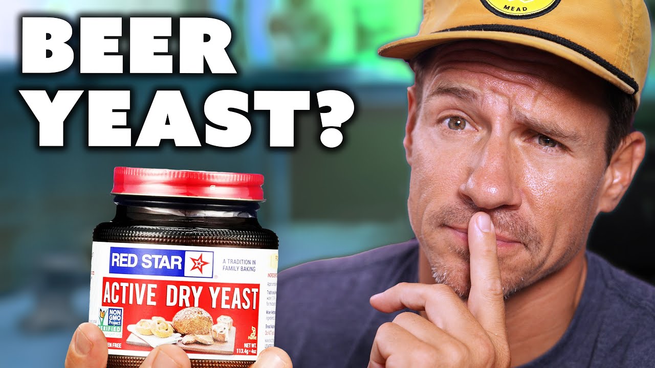 Top Yeast Strains for 5 Common Homebrew Beer Styles