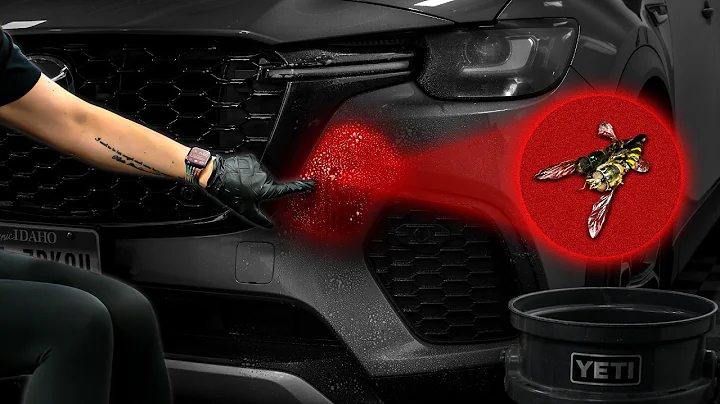 How To Get Bugs Off Your Car Fast!