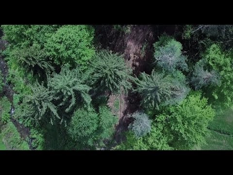 Video: Arbeit In Der Natur