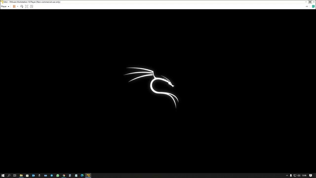 Установка kali linux. Установка kali linux