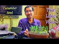 Cucumber Seed germination  Time lapse Video.