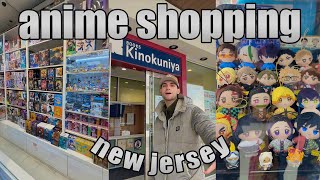 anime shopping in New Jersey 