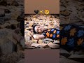 Idhar.mere.seene.pe.khanjar status/story tik Tok Instagram story