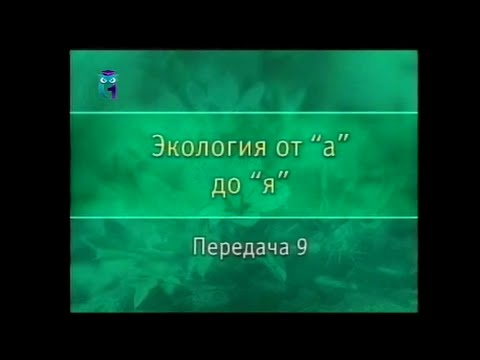 Видео: Почему у галофитов пневматофоры?