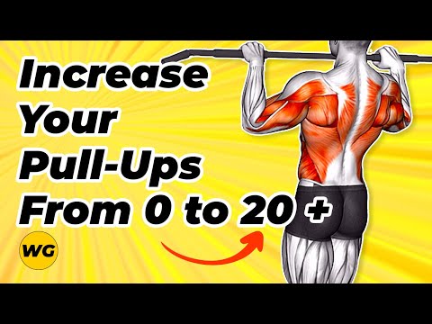 Increase Your Pull-Ups From 0 to 20+ Reps (TOP 20 Exercises For Pull Up Workout)